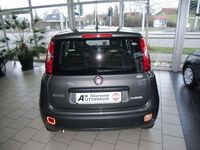 Gebraucht Fiat Panda 69 PS (50 kW) 2021 Grau Kleinwagen