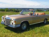Gebraucht Mercedes 280 SE 200 PS (147 kW) 1969 Gold Cabrio