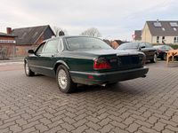 Gebraucht Jaguar XJ6 245 PS (180 kW) 1996 Grün Limousine