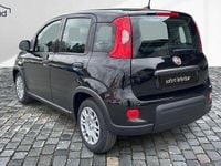 Gebraucht Fiat Panda 69 PS (50 kW) 2024 Schwarz Kleinwagen