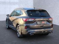 Gebraucht Ford Kuga ST-Line 150 PS (110 kW) 2023 Grau SUV