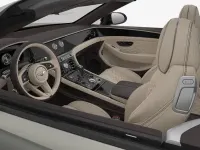 Ny Bentley Continental 680 HK (500 kW) 2026 Cab