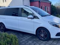 Gebraucht Mercedes E250 Avantgarde Edition 190 PS (139 kW) 2023 Kombi