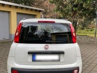 Gebraucht Fiat Panda Lounge 69 PS (50 kW) 2017 Weiß Kleinwagen