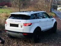 gebraucht Land Rover Range Rover evoque TD4 Pure