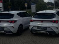 Gebraucht Cupra Leon 150 PS (110 kW) 2024 Weiß Limousine