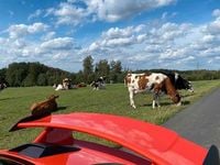 Gebraucht Porsche 991 500 PS (367 kW) 2018 Orange