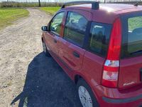 Gebraucht Fiat Panda 60 PS (44 kW) 2008 Rot Kleinwagen