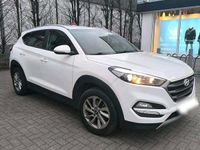 Gebraucht Hyundai Tucson 177 PS (130 kW) 2017 Weiß SUV