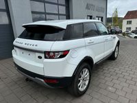gebraucht Land Rover Range Rover evoque Pure