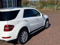 Gebraucht Mercedes ML350 Edition 231 PS (169 kW) 2011 Weiß SUV