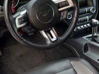 gebraucht Ford Mustang GT 5.0 Shelby Optik
