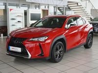 Gebraucht Lexus UX 250h 178 PS (130 kW) 2019 Solid red SUV