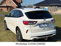 Gebraucht Ford Kuga ST-Line X 190 PS (139 kW) 2021 Weiß SUV
