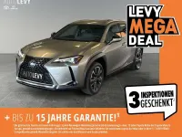 Gebraucht Lexus UX 250h 184 PS (135 kW) 2023 Silber SUV
