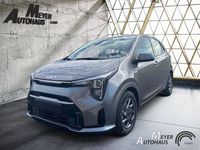 Gebraucht Kia Picanto Vision 63 PS (46 kW) 2025 Astro grey m Kleinwagen
