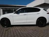 Gebraucht Alfa Romeo Stelvio Veloce 210 PS (154 kW) 2021 Weiß SUV