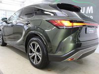 Gebraucht Lexus RX450h+ Business Edition 309 PS (227 kW) 2023 Grün SUV