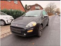 Gebraucht Fiat Punto Evo Young 69 PS (50 kW) 2015 Schwarz Kleinwagen
