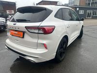 Gebraucht Ford Kuga ST-Line X 190 PS (139 kW) 2022 Weiß SUV