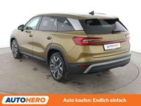 Gebraucht Skoda Kodiaq Selection 193 PS (141 kW) 2024 Braun SUV