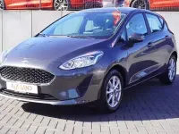 Gebraucht Ford Fiesta 75 PS (55 kW) 2020 Grau Kleinwagen