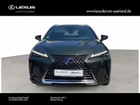 Gebraucht Lexus UX 250h Luxury Line 178 PS (130 kW) 2020 Grün SUV