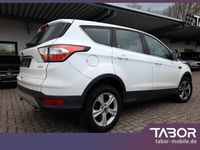 Gebraucht Ford Kuga Trend 120 PS (88 kW) 2018 Weiß SUV