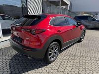 Gebraucht Mazda CX-30 Selection 186 PS (136 kW) 2022 Soul red crystal SUV