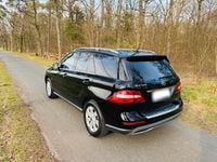 Gebraucht Mercedes ML250 204 PS (150 kW) 2011 Schwarz SUV