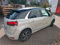 Gebraucht Citroën C4 Picasso 96 PS (70 kW) 2019 Beige Van / Kleinbus