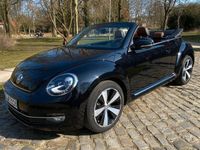 gebraucht VW Beetle 1.2 TSI BMT Exclusive Design Cabriole...