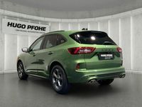 Gebraucht Ford Kuga ST-Line X 186 PS (136 kW) 2024 Bursting green SUV