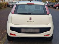 Gebraucht Fiat Punto 69 PS (50 kW) 2011 Weiß Limousine