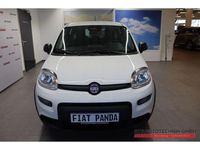Gebraucht Fiat Panda 69 PS (50 kW) 2024 Weiss Kleinwagen