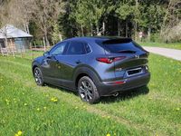Gebraucht Mazda CX-30 Selection 179 PS (131 kW) 2019 Grau SUV