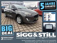 Gebraucht Ford Fiesta Cool & Connect 75 PS (55 kW) 2022 Magneticgrau (metallic) Kleinwagen