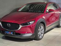 Gebraucht Mazda CX-30 Selection 186 PS (136 kW) 2019 Rot SUV