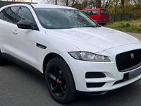 Gebraucht Jaguar F-Pace 165 PS (121 kW) 2017 Weiß SUV