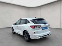 Gebraucht Ford Kuga ST-Line 224 PS (164 kW) 2023 Weiß SUV