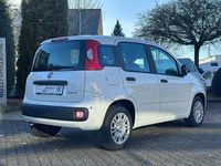 Neu Fiat Panda 69 PS (50 kW) 2025 Weiß Limousine