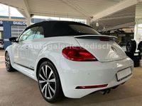 gebraucht VW Beetle Cabriolet Cabriolet Club R-Line Bi-Xenon SHZ PDC