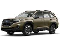 Neu Subaru Forester Trend 136 PS (100 kW) 2026 Grün SUV