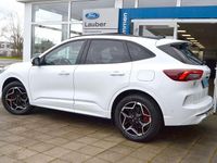 Neu Ford Kuga ST-Line X 184 PS (135 kW) 2025 Frostweiss SUV