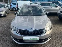 Gebraucht Skoda Octavia Style 116 PS (85 kW) 2019 Beige Kombi