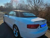 Gebraucht Audi A5 Cabriolet 170 PS (125 kW) 2011 Weiß Cabrio