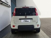 Gebraucht Fiat Panda 70 PS (51 kW) 2023 Gelato weiss Kleinwagen