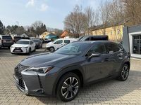 Gebraucht Lexus UX 250h 184 PS (135 kW) 2024 Grau SUV