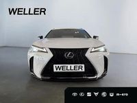 Neu Lexus UX 300h 199 PS (146 kW) 2025 Fujiweiß SUV