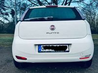 gebraucht Fiat Punto Evo 1.2 8V Pop